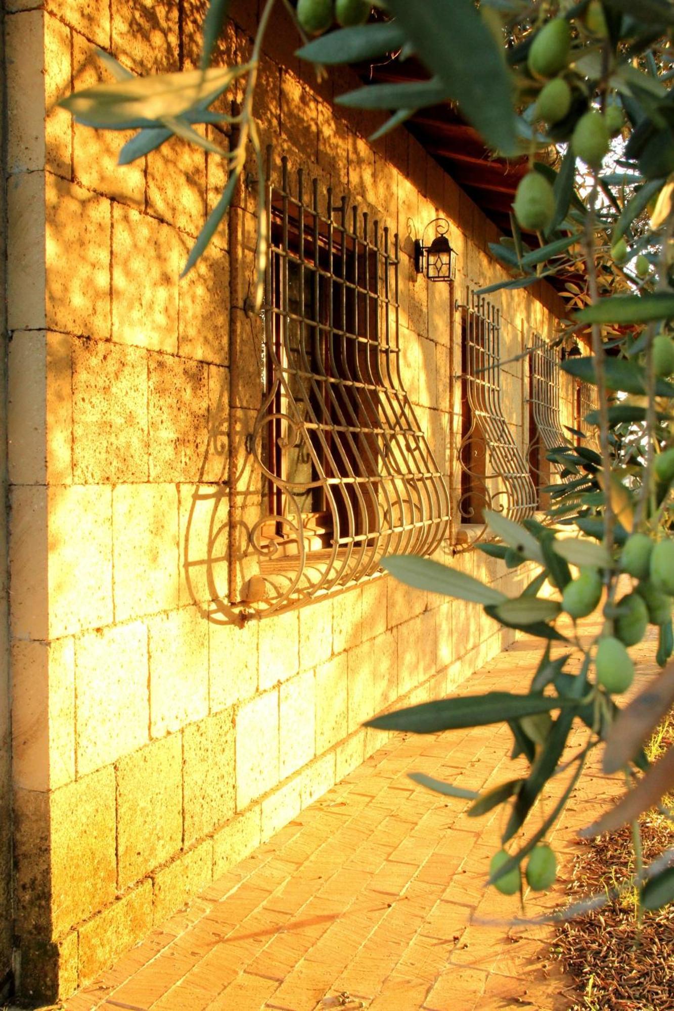 Al Vecchio Fontanile B&B ラディスポリ エクステリア 写真